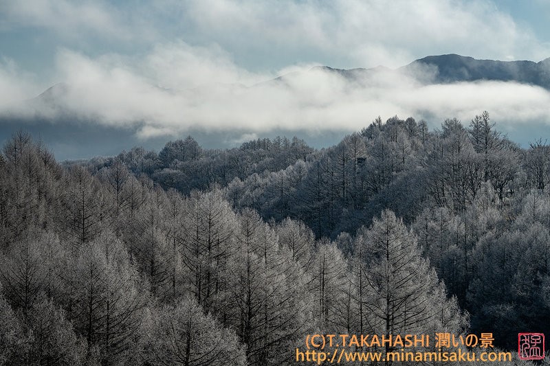 ../Images/7R250103 (173).jpg